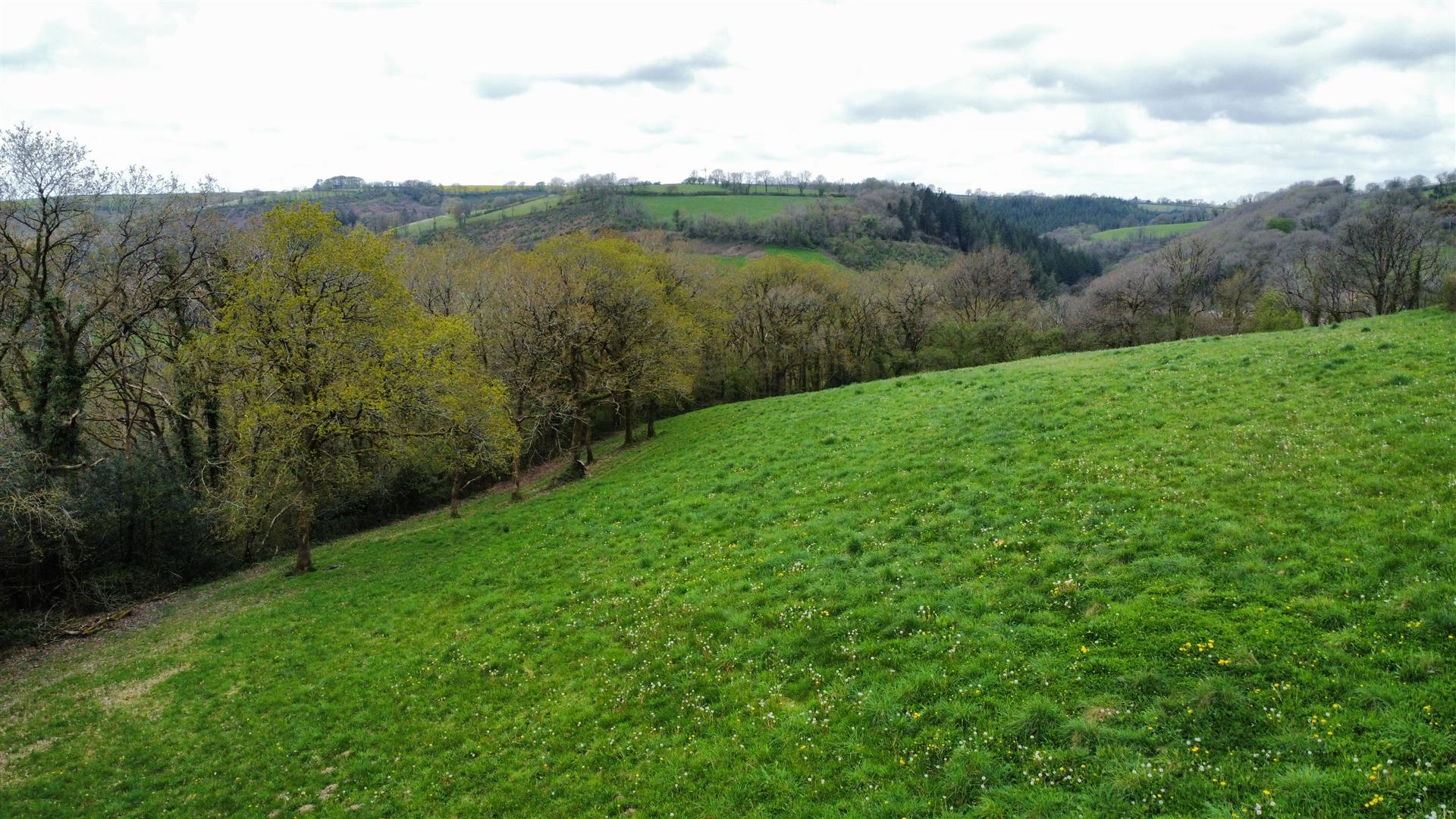 13.43 acres of Land at Gelliwen, St. Clears offered for sale in 3